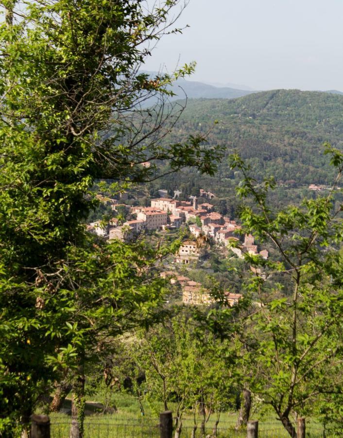 Le Dame Del Borgo Apartment Sassetta Luaran gambar